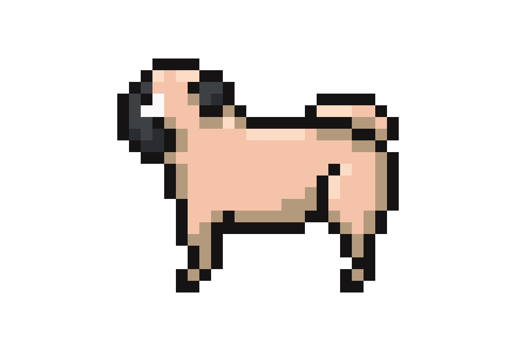Dog #12