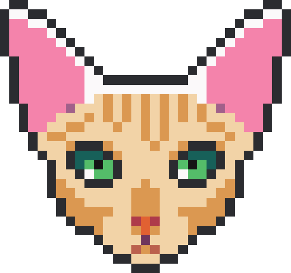 Cat #6