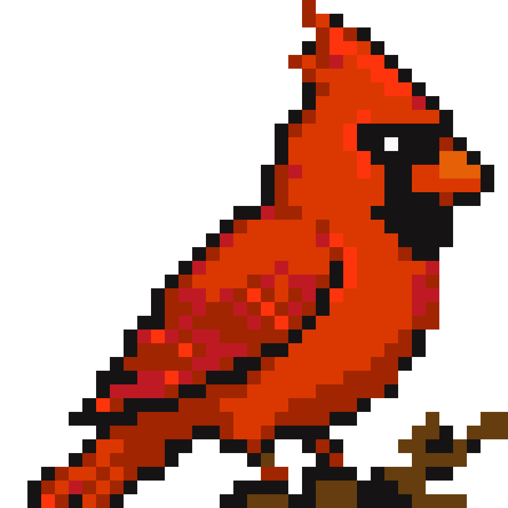 Bird #6
