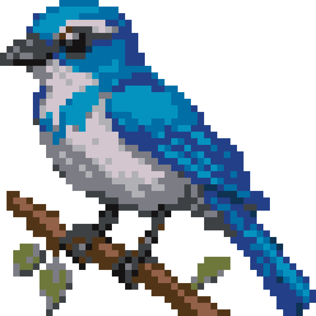 Bird #20