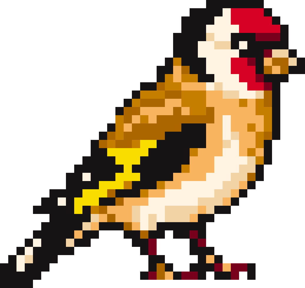 Bird #19