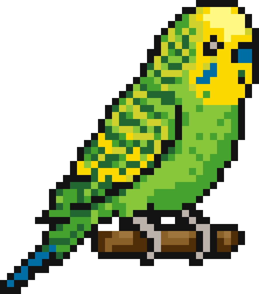 Bird #13