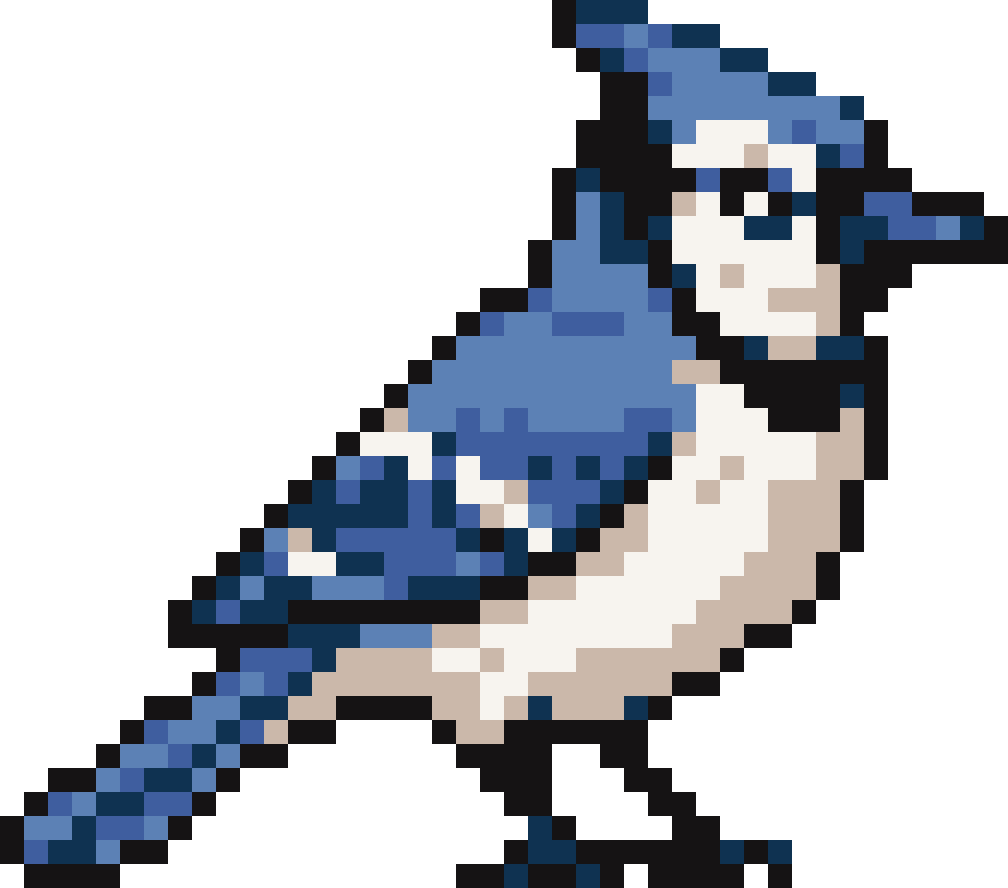 Bird #5