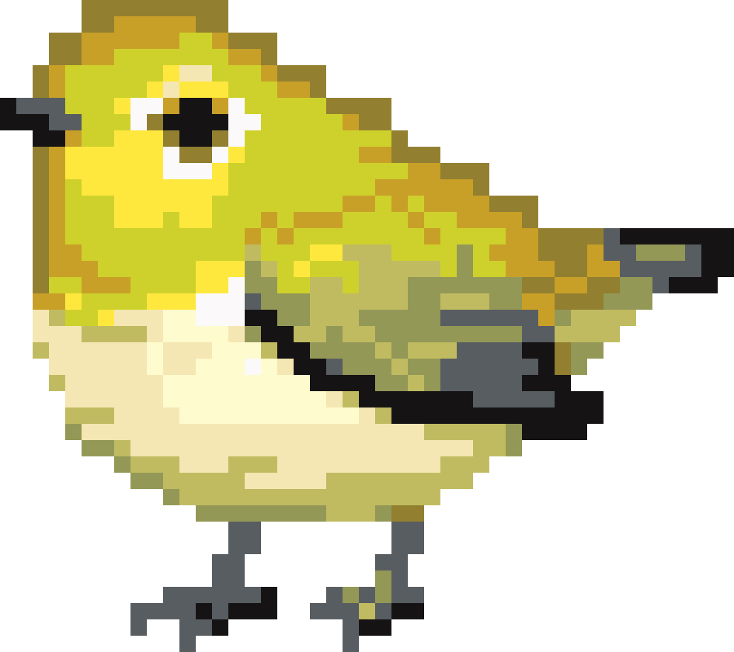 Bird #2