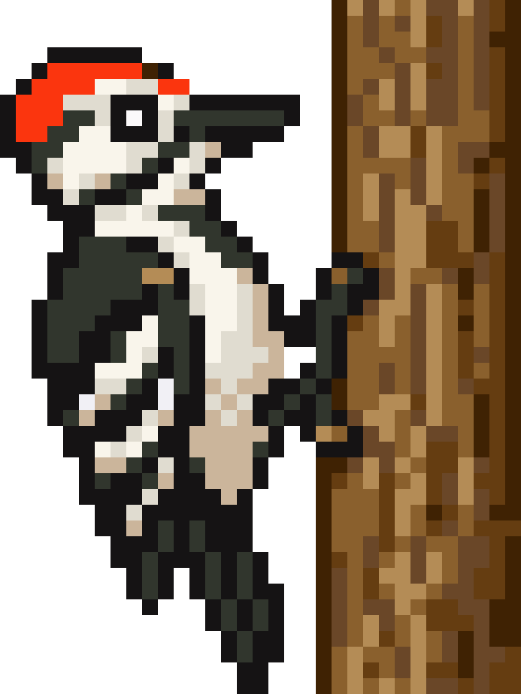 Bird #12