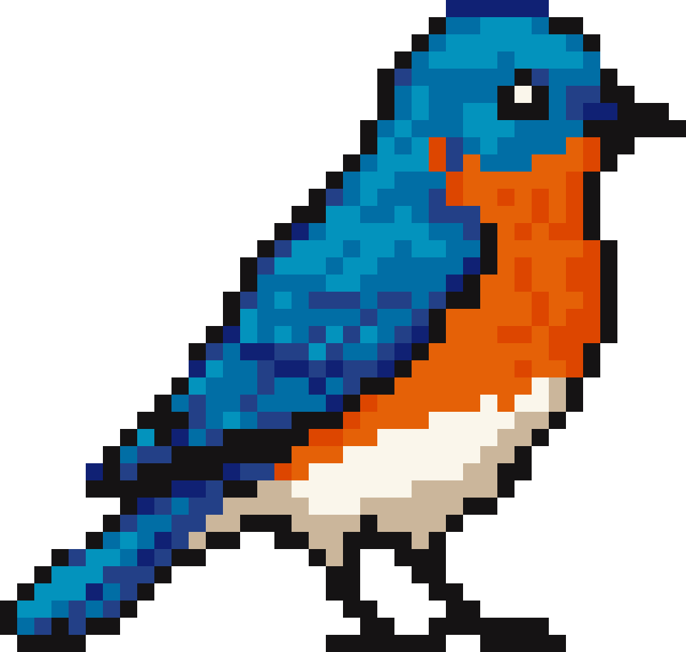 Bird #17