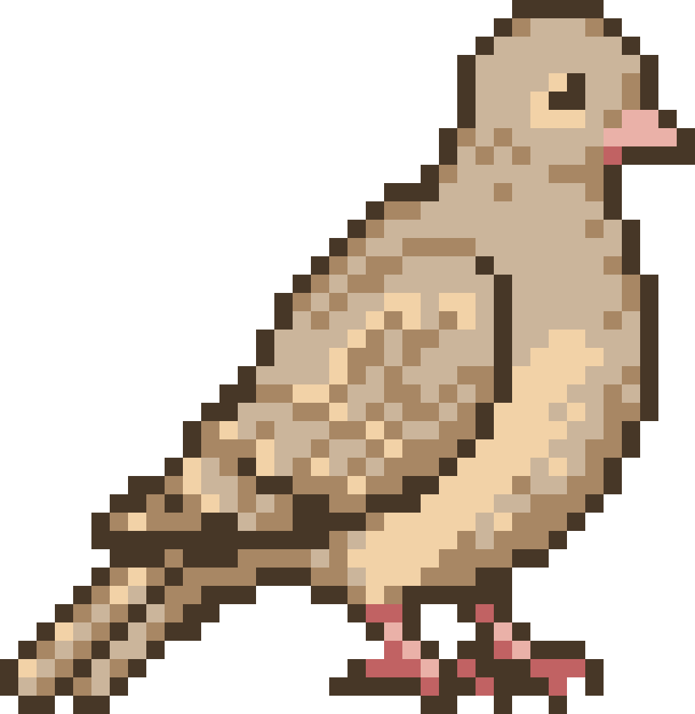 Bird #9