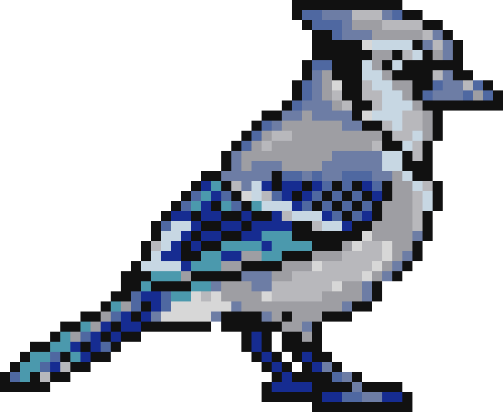 Bird #1